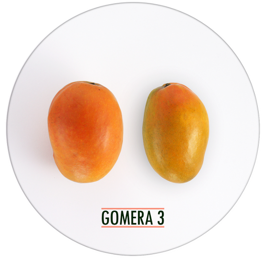 gomera-3